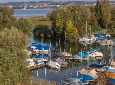 Hafen Spreitenbach Lachen Lagoo Segelschule Segelkurse und Events Zürichsee Obersee